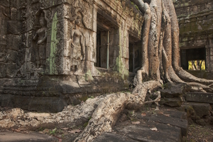 Passageways: Angkor Wat Roots, Siem Riep, Cambodia