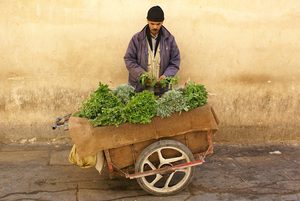 Most Popular: Fez Greengrocer, Morocco