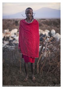 Maasai Warrior 2, Amboselli, Kenya