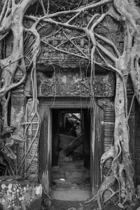Angkor Wat B&W Tree Root Entrance