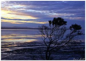 Dusk, Clarks Beach, Auckland, NZ