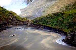 Landscape: Anawhata Peninsular, Auckland
