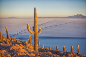 Uyuni Salt Flats 4, Bolivia