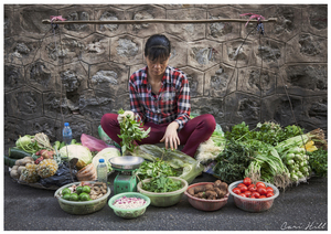 People: Vietnam Greengrocer, Hanoi, Vietnam