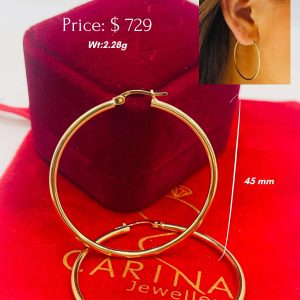 Products: 18 Karat Gold Earring 1.00g