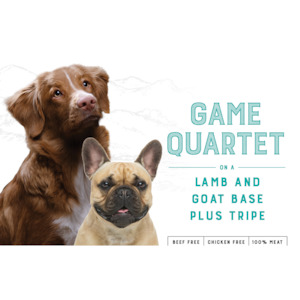 Frontpage: Canine Game Quartet (10kg)
