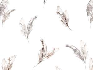 category-curtainStudio: Toi Toi
