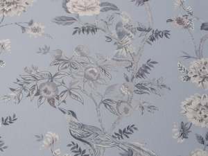 category-curtainStudio: Aviary