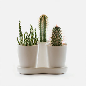 I'm a product My Site