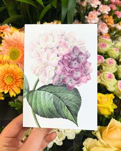 Greeting Card | Pink Hydrangea