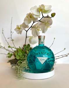 Bluff Coastal Escape