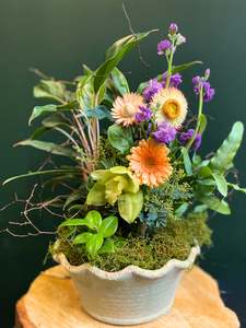 Mothers Day: Little Eden | Planter Bowl