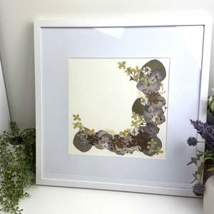 Shadow Boxes: 480x480 Pressed flower Frames
