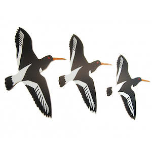 For Him: OYSTER CATCHER AIRWAYS TRIO