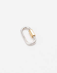 Carrier Lock Silver/Gold Lock