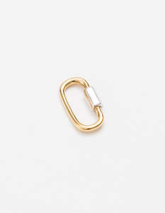 Carrier Lock Gold/Silver Lock