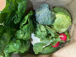 Products: Produce Bag - Catlins Harvest