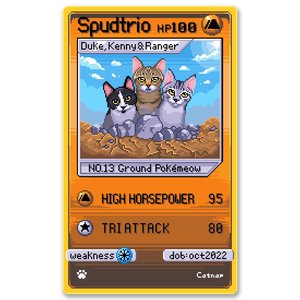 Products: Catnap - Spudtrio Card