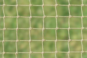 Cat Netting 10m x 3m Stone