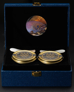 Products: Caviar Club Show Box: Indulge in Luxury with Caviar Gift Set