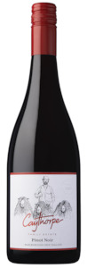 Pinot Noir: Pinot Noir