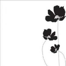 Products: Poppy 12x12 Paper