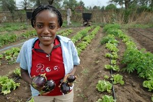 Products: Grow Vegetables