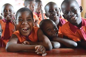 Products: Disability in the Classroom