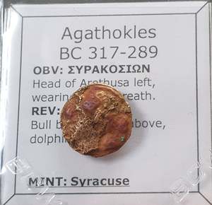 Uk Collection: #o395# Sicilian Greek coin of Agathokles from Syracuse, 317-289 BC
