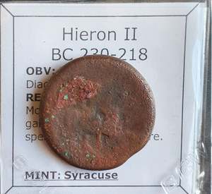 Uk Collection: #N892# Sicilian Greek coin of Hieron II from Syracuse, 230-218 BC.
