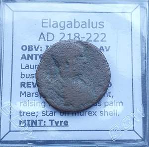 All: #q305# Roman provincial coin of Elagabalus from Tyre, 218-222 AD