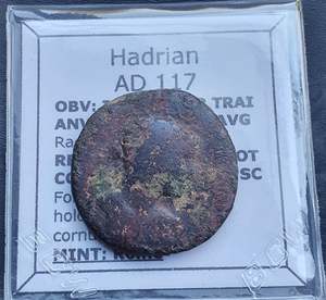 All: #q296# Roman Bronze Ae Dupondius coin of Hadrian from 117 AD