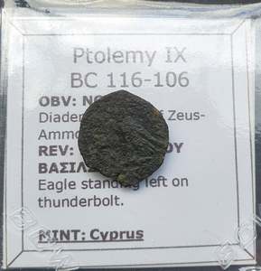 Premium Collection: #P052# Greek bronze ae14 coin of Ptolemaic King Ptolemy IX from 116-106 BC