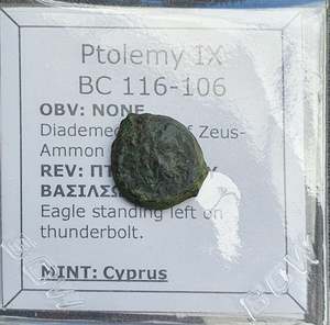 Premium Collection: #P137# Greek bronze ae14 coin of Ptolemaic King Ptolemy IX from 116-106 BC