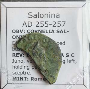Premium Collection: #o930# Roman bronze Sestertius coin of Salonina from 255-257 AD