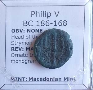 Premium Collection: #o542# Greek ae19 bronze coin of Philip V, minted between 186-168 BC