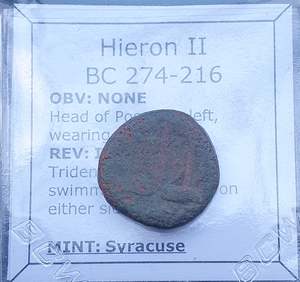 #N799# Greek bronze coin of Hieron II from Syracuse 275-215 BC