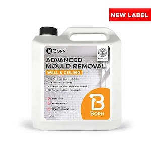 BORN ADV WALL AND CEILING MOULD REMOVAL