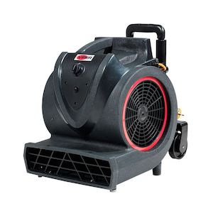 Rental Machines: RENTAL CARPET BLOWER