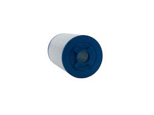 Pool Spa Accessories: SIGNATURE C100 / SWIM SPA BOTTOM SG100B FILTER
