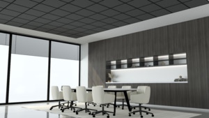 Boyd Acoustic Ceiling Tile
