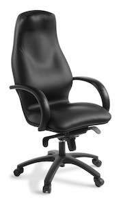 Executive Chairs: Eden Silhouette Chair