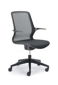 Executive Chairs: Chair Solutions Ovidio 5-Star Chair