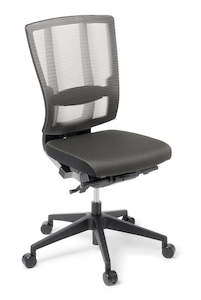 Executive Chairs: Eden Cloud Ergo Chair