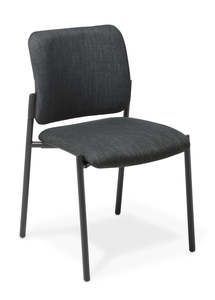 Conference Chairs: Eden Polo Chair