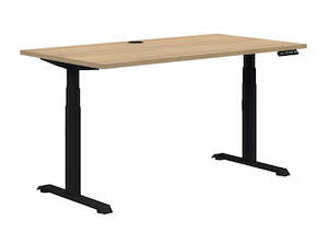 Best Selling Desks: Pintari Dual Motor Standing Straight Desk