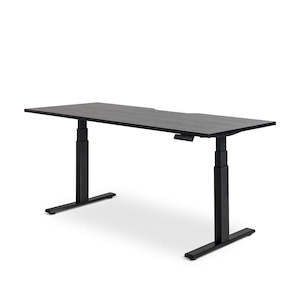 Mobel Enhance Dual Motor Standing Desk