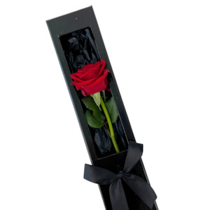 Valentines Day: Single Red Rose (AUCKLAND ONLY)