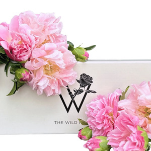 Flowers: Pretty Peonies