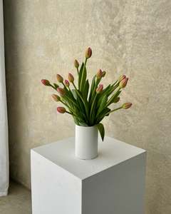 Flowers: Seasonal Stems: Tulips